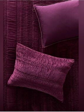 Anthropologie Lustered Velvet Alastair Shams in Burgundy -set of 2